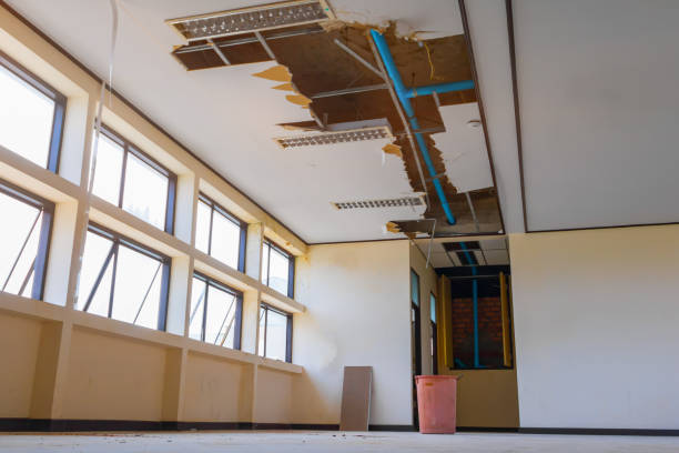 Best Water damage restoration insurance claims  in Eminence, KY
