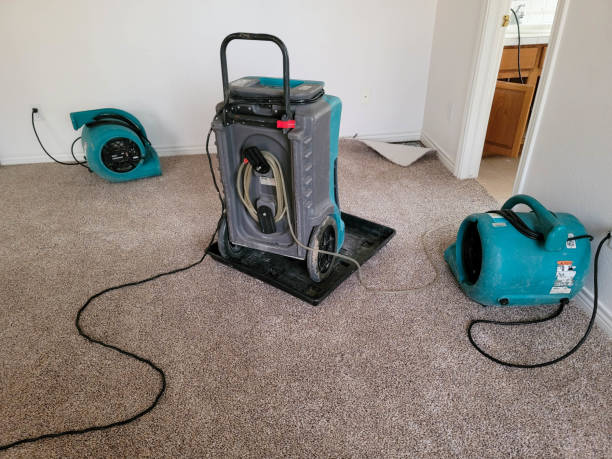 Best Water damage cleanup near me  in Eminence, KY