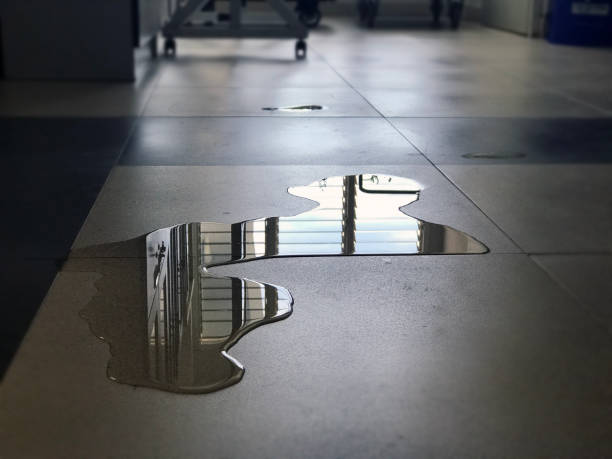 Best 24/7 water damage repair  in Eminence, KY