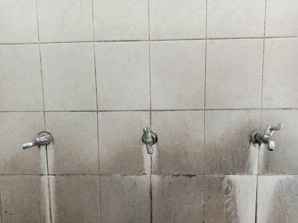 Best Water damage restoration near me  in Eminence, KY