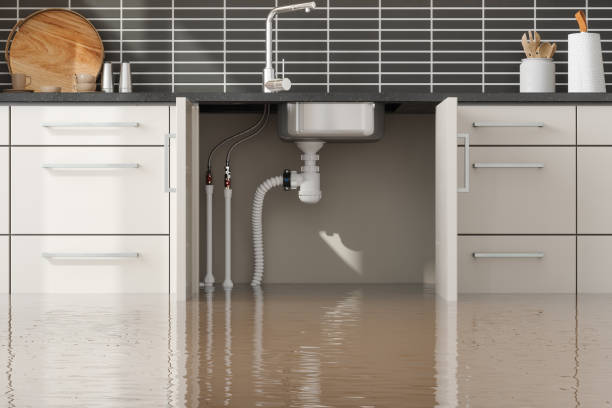 Reliable KY Water damage restoration Solutions