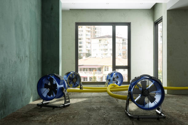 Best Local water damage restoration  in Eminence, KY